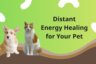perform distance pranic healing for your pet