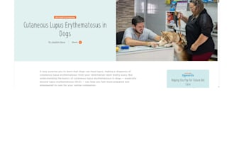 improve clarity, flow, and impact in your content