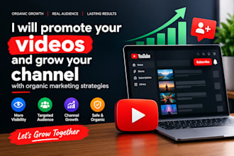 provide organic youtube video promotion and channel growth services