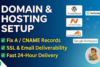 set up domain, custom email, hosting, migrate your website