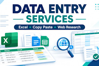do data entry, copy paste, web research and excel data entry