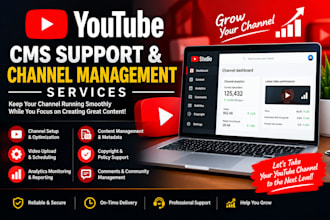 provide youtube cms support and channel management services