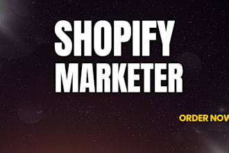 build a shopify website