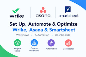 set up wrike, asana, and smartsheet workflows, automation, and dashboards