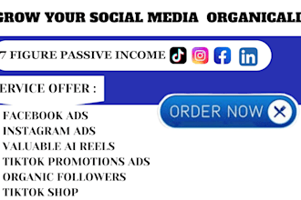 promote your facebook , tiktok and instagram organically ads