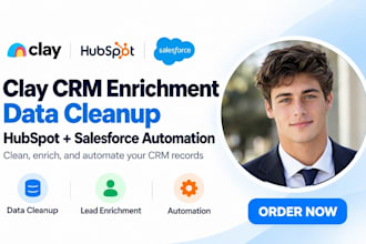 build clay CRM enrichment data cleanup hubspot salesforce automation