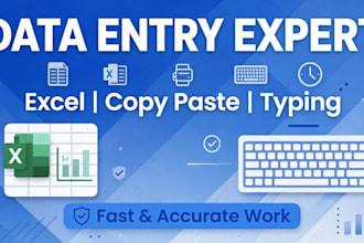 do fasr data entry, copy paste, typing and excel work