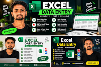 do excel data entry and spreadsheet formatting