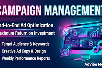 create high converting meta video ads and manage campaigns