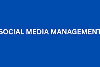 be a social media manager