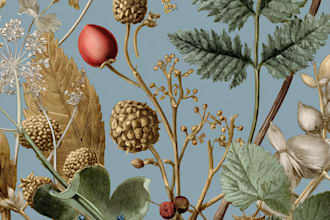 create vintage botanical, mystic, logo design illustration