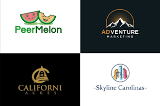 do highly impactful unique business logo design and branding