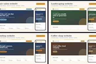 build a professional small business website or landing page