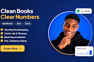 setup, clean up and bookkeeping in quickbooks online, xero and wave excel expert