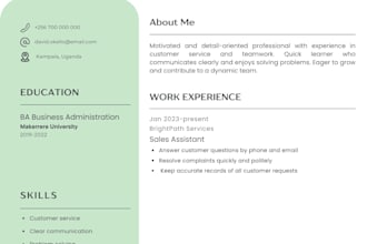 design a professional, modern resume or CV in canva