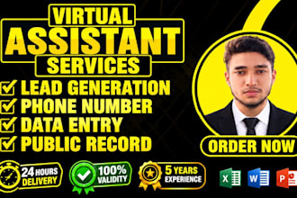 do lead generation phone number data entry and public record