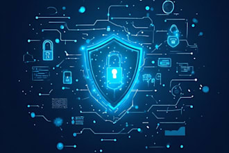 perform basic website security assessment and reporting