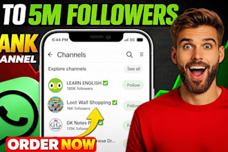 boost whatsapp channel gain 5m whatsapp followers whatsapp channel promotion