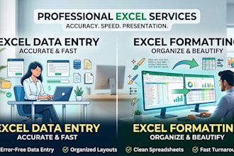 provide excel data entry and formatting services