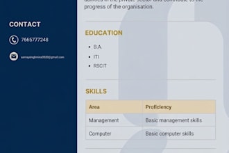 do infographic resume design and CV design