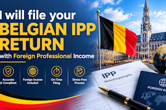 file your belgian ipp return with foreign professional income
