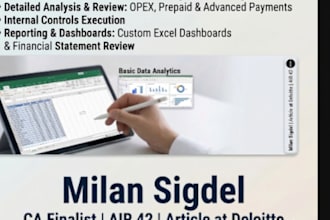 do the data analysis, audit support, ledger analysis, data entry, excel work