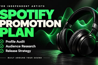 create a spotify music promotion plan for your next release, set up meta ads