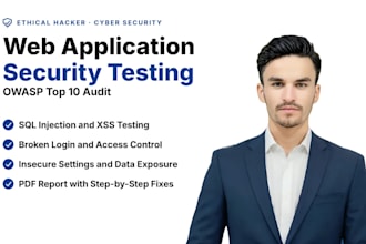 l do website security testing and owasp top 10 audit
