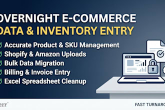 expert e commerce inventory entry and data entry overnight