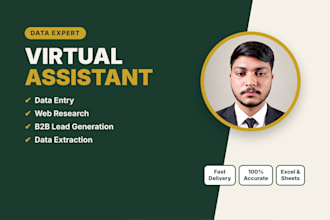 be your virtual assistant for data extraction, web research and lead generation