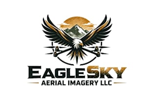 do incredible wonderful eagle and drone logo for your company