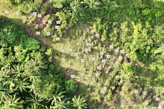 create a georeferenced drone orthomosaic map