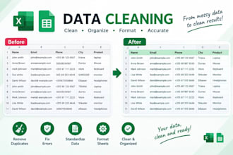 do exel data entry , data cleaning and formating