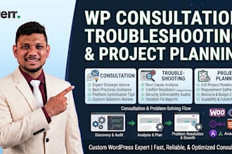 provide website consultation for wordpress and other platforms