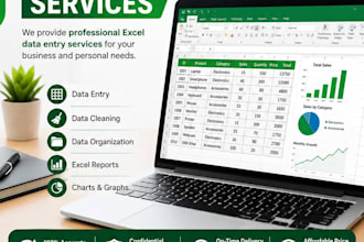 excel data entry and spreadsheet formatting