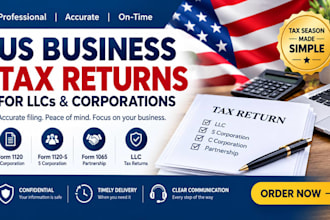 prepare and file USA tax returns for individuals businesses llcs