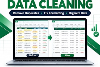 excel data cleaning and spreadsheet specialist