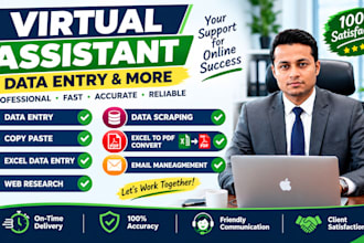 do copy paste,web research,data scraping,excel data entry