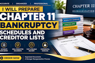 prepare chapter 11 bankruptcy schedules and creditor list