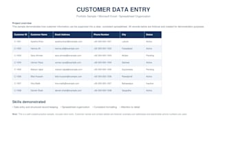 excel data entry and spreadsheet formatting