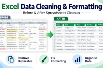 clean, format and organise excel spreadsheets and data