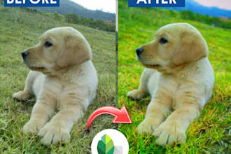 create all image presets