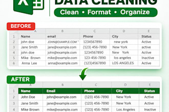 clean format and organize excel spreadsheet data