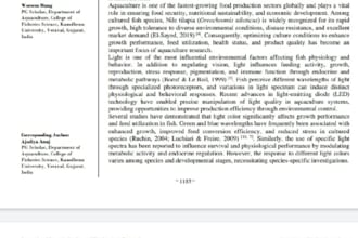 write and edit SEO article