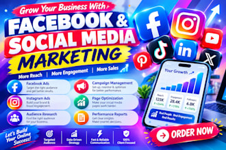 set up  facebook ads campaigns with targeted audience