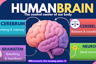 creating a educational slide