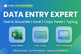 do data entry, excel data entry, typing, and copy paste work