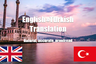 translate and proofread english to turkish