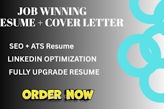 craft you a job winning resume that wins interviews