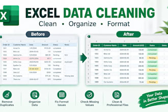 clean and format your excel spreadsheet